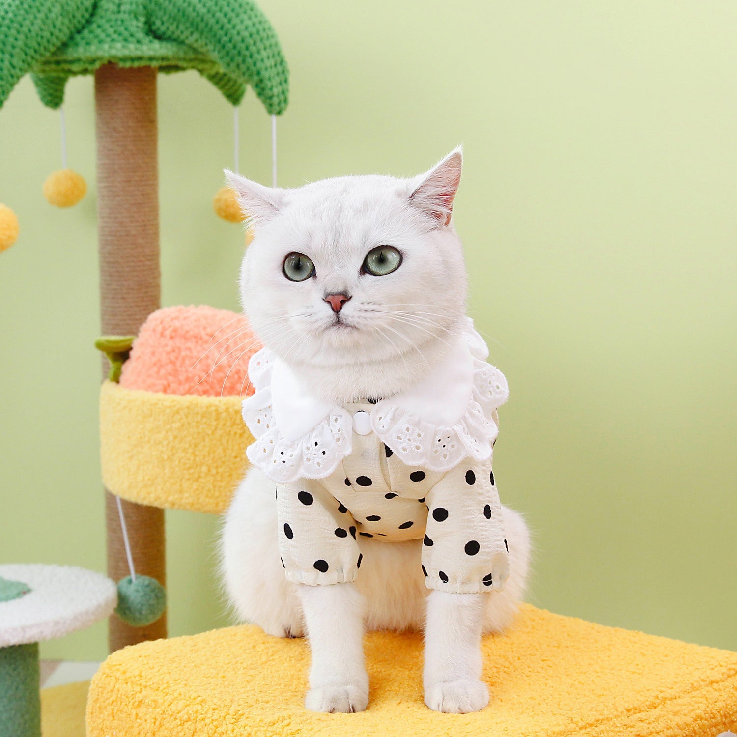Elevate Your Pet's Style with Our Blue Pet T-Shirt Clothing